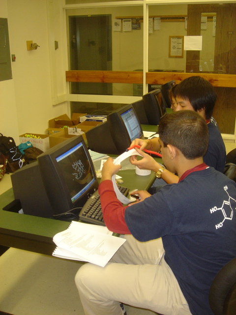 Protein Modeling
