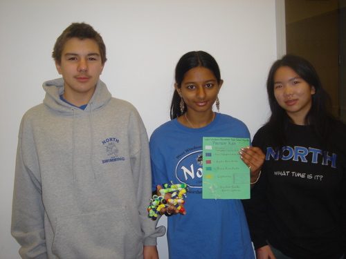 07_princeton_protein_003