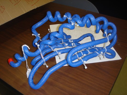 proteinmodelingatstates19.jpg